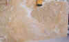 European Onyx Turkish Honey 610 x4.jpg (207833 bytes)