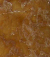 11otpfdca.JPG (97023 bytes)