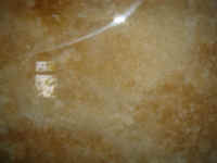 DSC00600.JPG (45959 bytes)