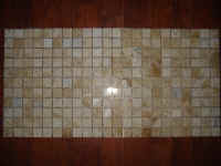 DSC00781.JPG (61960 bytes)