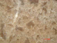 capachino 1.JPG (57787 bytes)