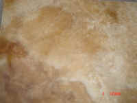 capachino 2(40).JPG (45849 bytes)