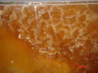 med caramel slab2.JPG (51473 bytes)