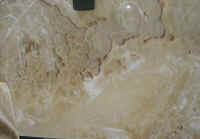 onyx 032c.jpg (113269 bytes)