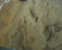 onyx 042c.jpg (122757 bytes)